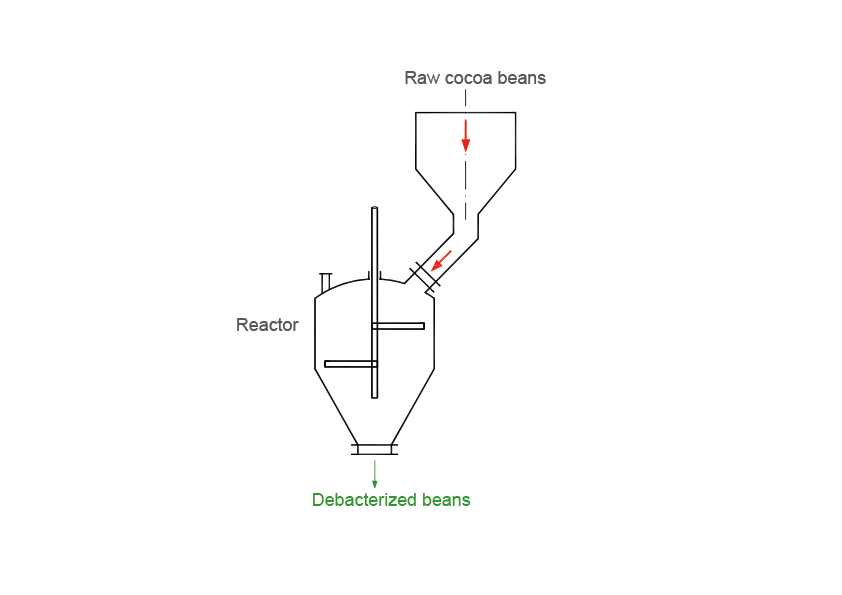 fave schema debatterizzazione